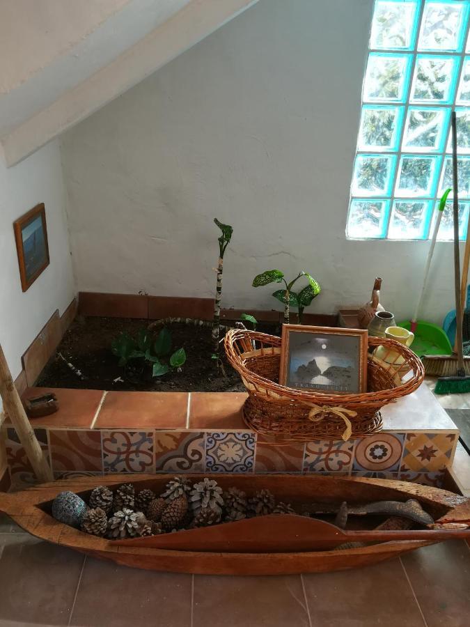 Penzion Casa Mamánena Mogán Exteriér fotografie